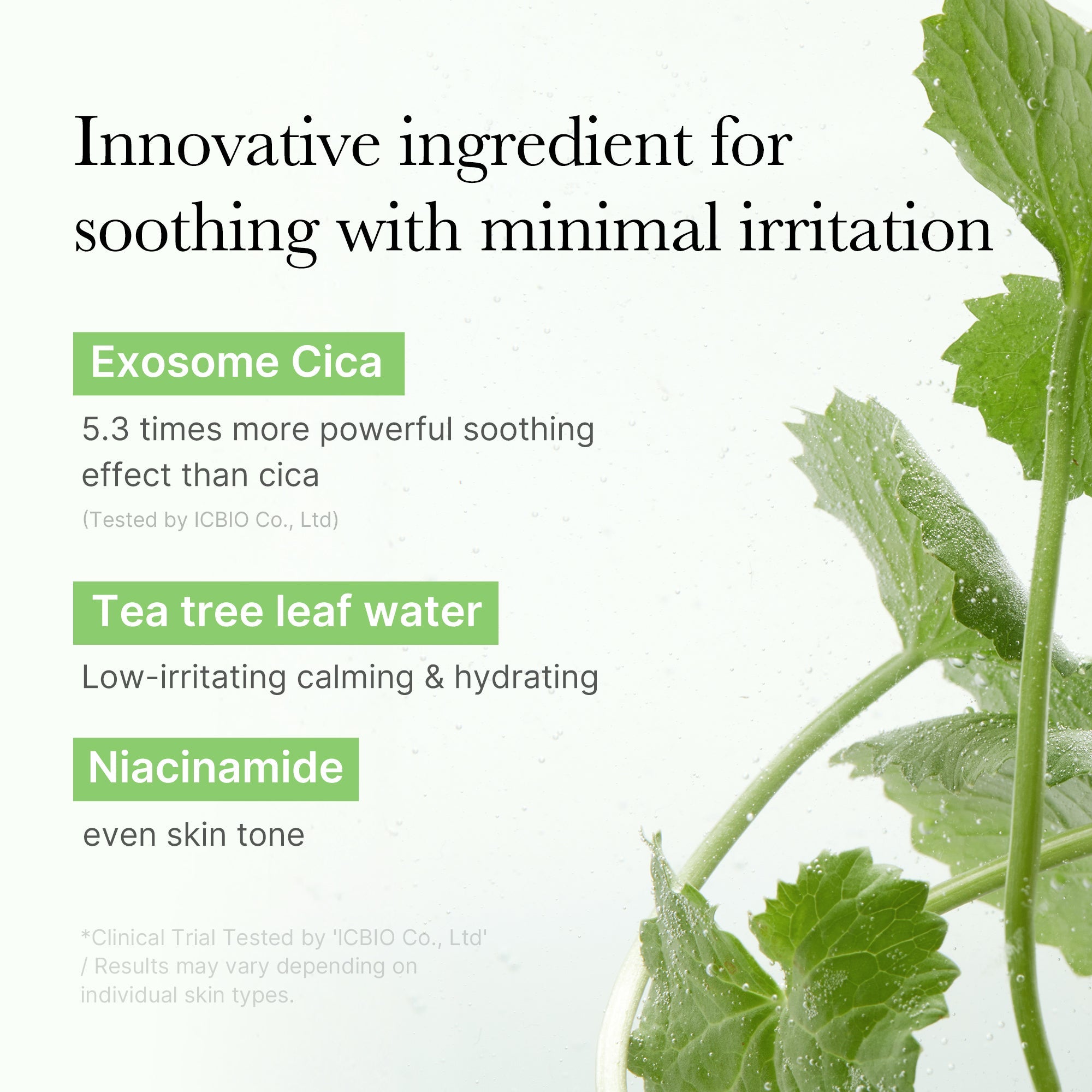 Exosome Cica Calming Toner Pads - Medicube Bargain